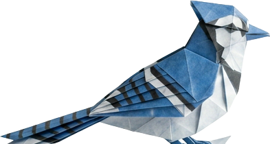 Blockjay